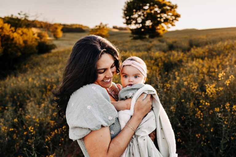 Canola Flower Field Photos